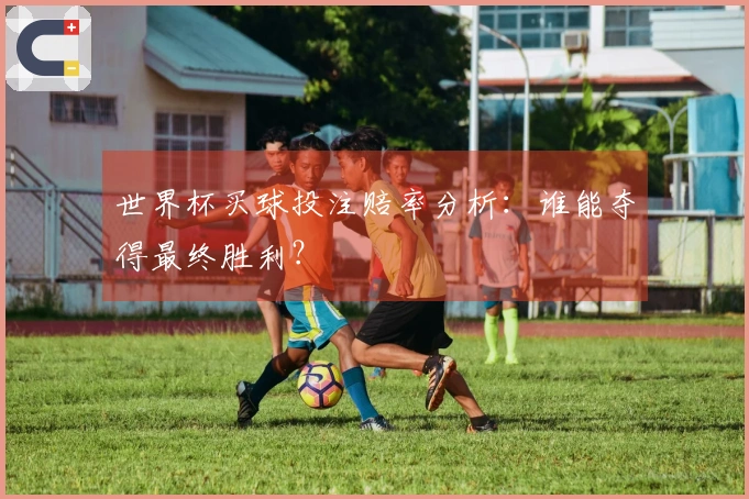 世界杯买球投注赔率分析：谁能夺得最终胜利？