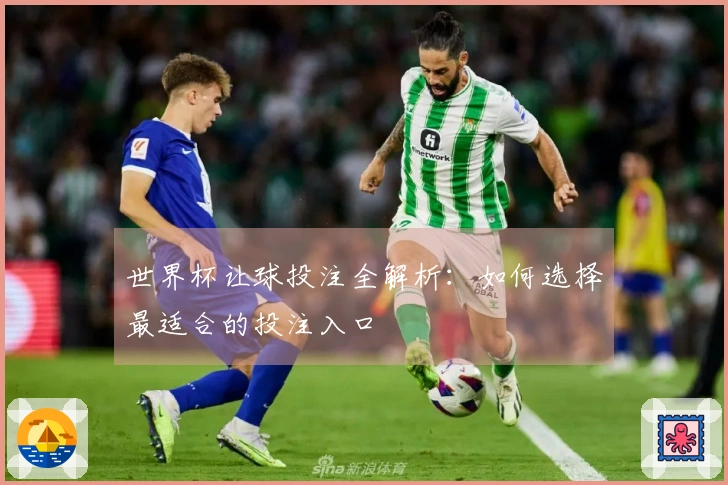 世界杯让球投注全解析：如何选择最适合的投注入口