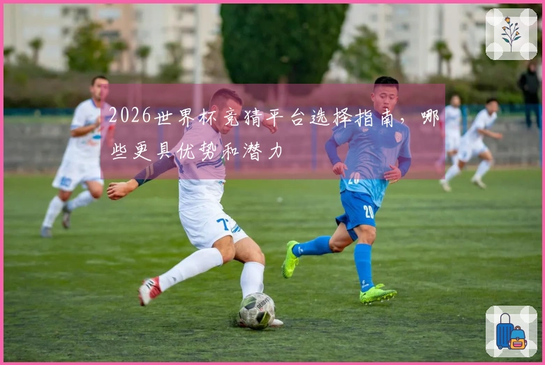 2026世界杯竞猜平台选择指南，哪些更具优势和潜力